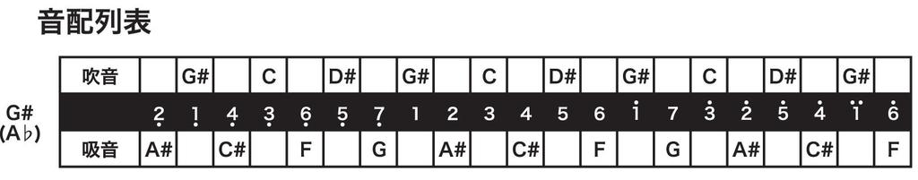 TOMBO 3121 Band Diatonic Harmonica G# 21-Hole