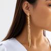 Long Fringed Hip-hop Metal Wind Snake Bone Chain Light Luxury High-end Necklace Versatile Personality Woven Collarbone Ear Necklace