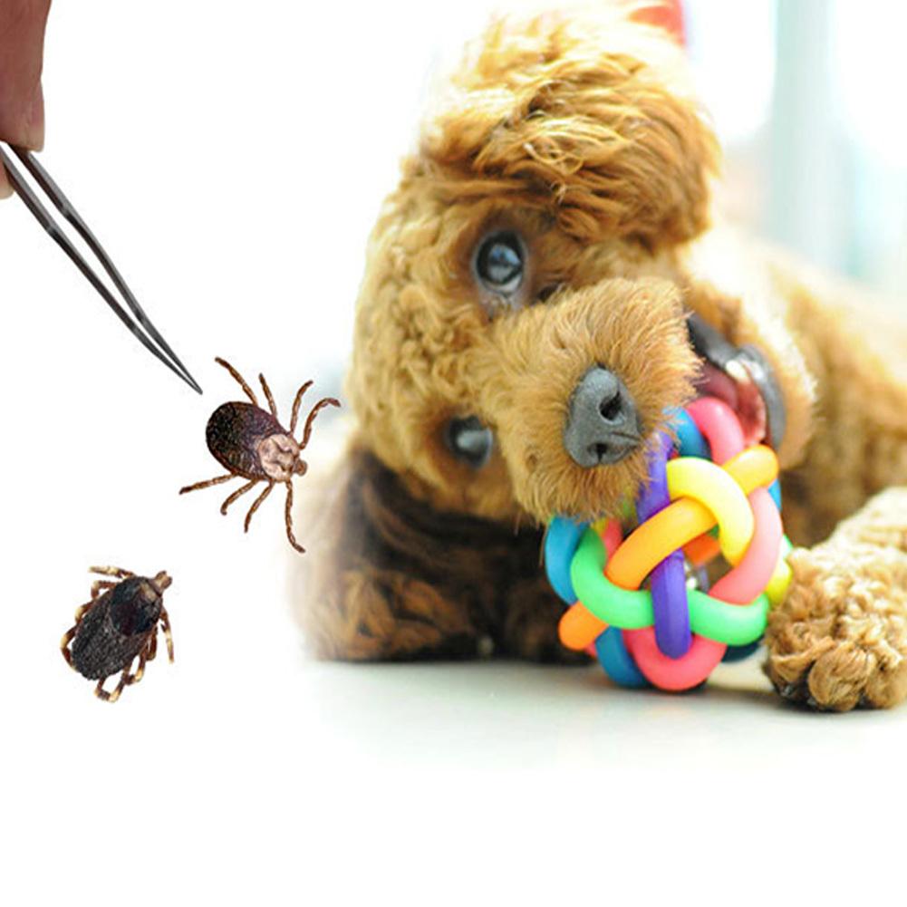 Set 6PCS/8PCS Instrument de Îndepărtat Căpușe pentru Câini Oțel Inoxidabil Instrument de Îndepărtat Purici Kit Pensete cu Mâner Anti-alunecare Pentru Pisici Câini Oameni Accesorii