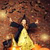 TDHDIKE Halloween Party Supplies & Decorations 140Pcs Realistic PVC 3D Black Scary Bat Wall Stickers for Creepy Home & Indoor Decor DIY Wall Decal