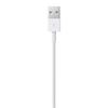 Apple | Male | 4 Pin Usb Type A | Male | Apple Lightning | 2 M