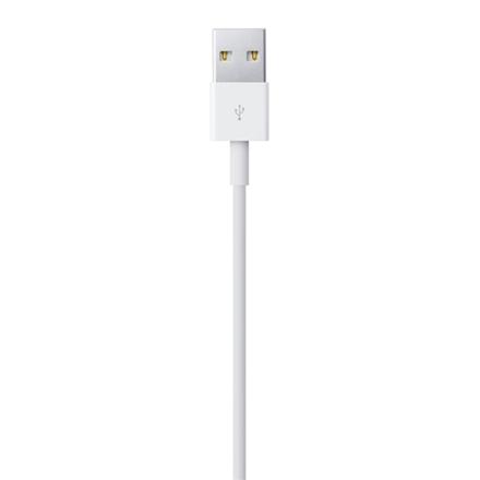 Apple | Male | 4 Pin Usb Type A | Male | Apple Lightning | 2 M