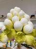Large Foam Egg-Shaped Flower Bud for Rose, Poppy & Hyacinth Art