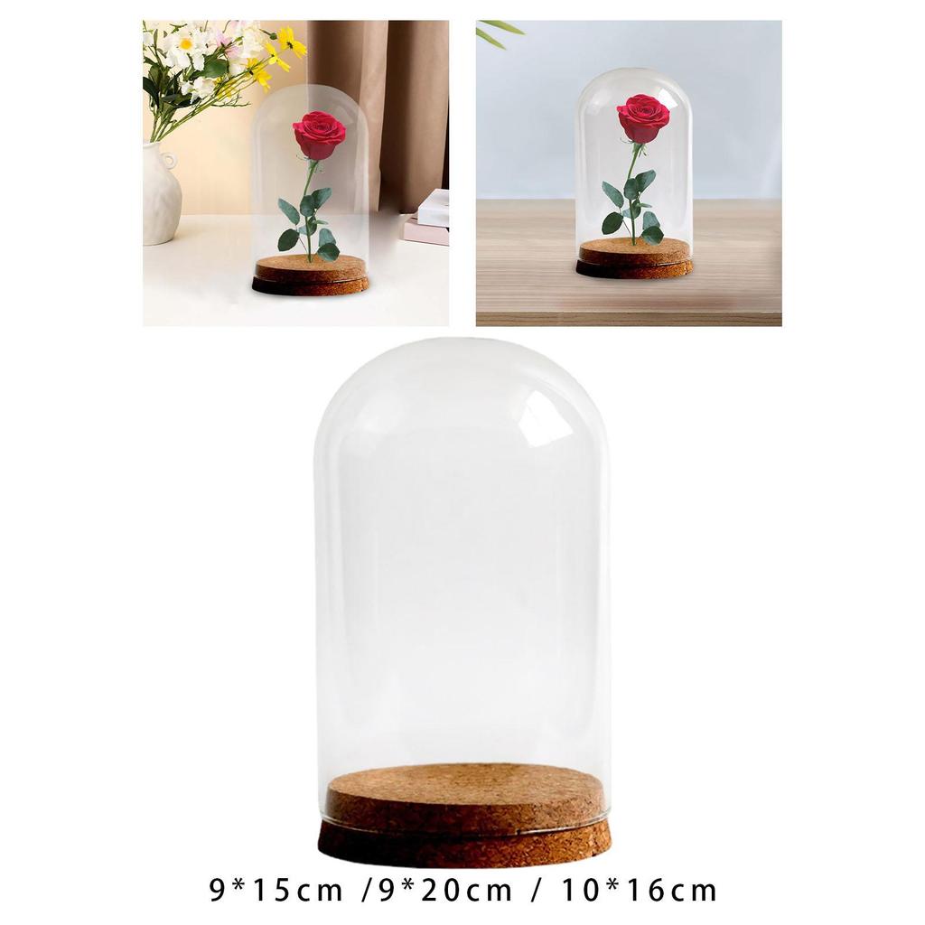 DIY Glass Dome Cloche Holder for Microlandscape and Home Display