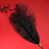 Flirtatious Feather Stick: Small Fun Prop for Foreplay and Bed Play