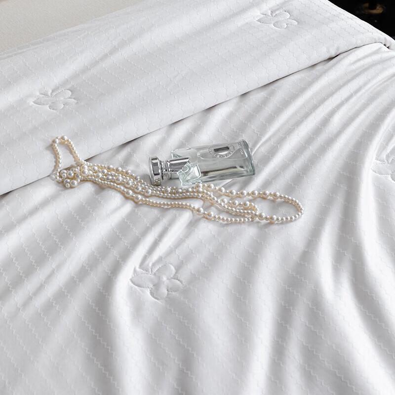 Hengyuanxiang Haisen 100% Mulberry Silk Quilt