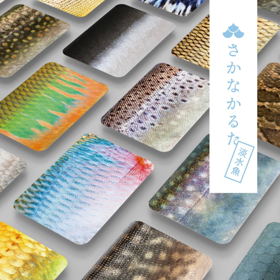 

2-е издание Рыба Пресноводная рыба Гамот Карута Карта Тиба День рождения Дети Образовательный Кемпинг [Официальный] Карута, Издание, Лаборатория, Игра, Ванна, Чешуя,