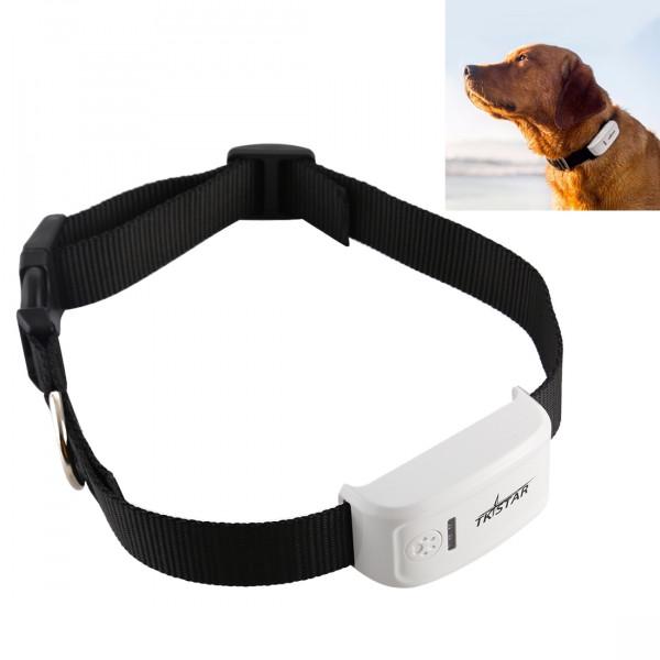 tracking device for dog collar