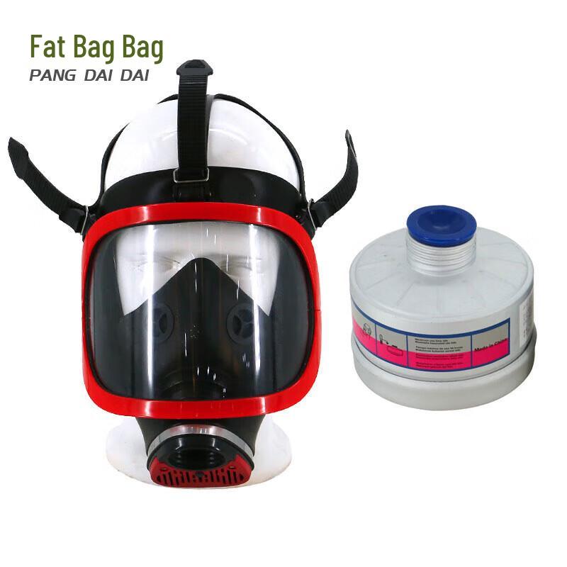 Pangdaidai Silicone Full Face Respirator