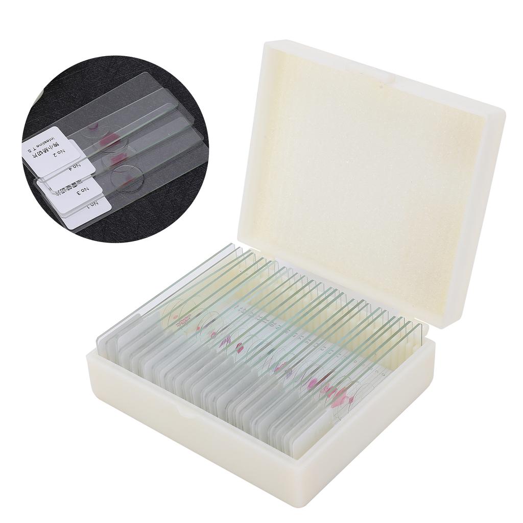 DW‑25 25Pcs Animal Slides Microscope Sample Slides Specimens for Science Education