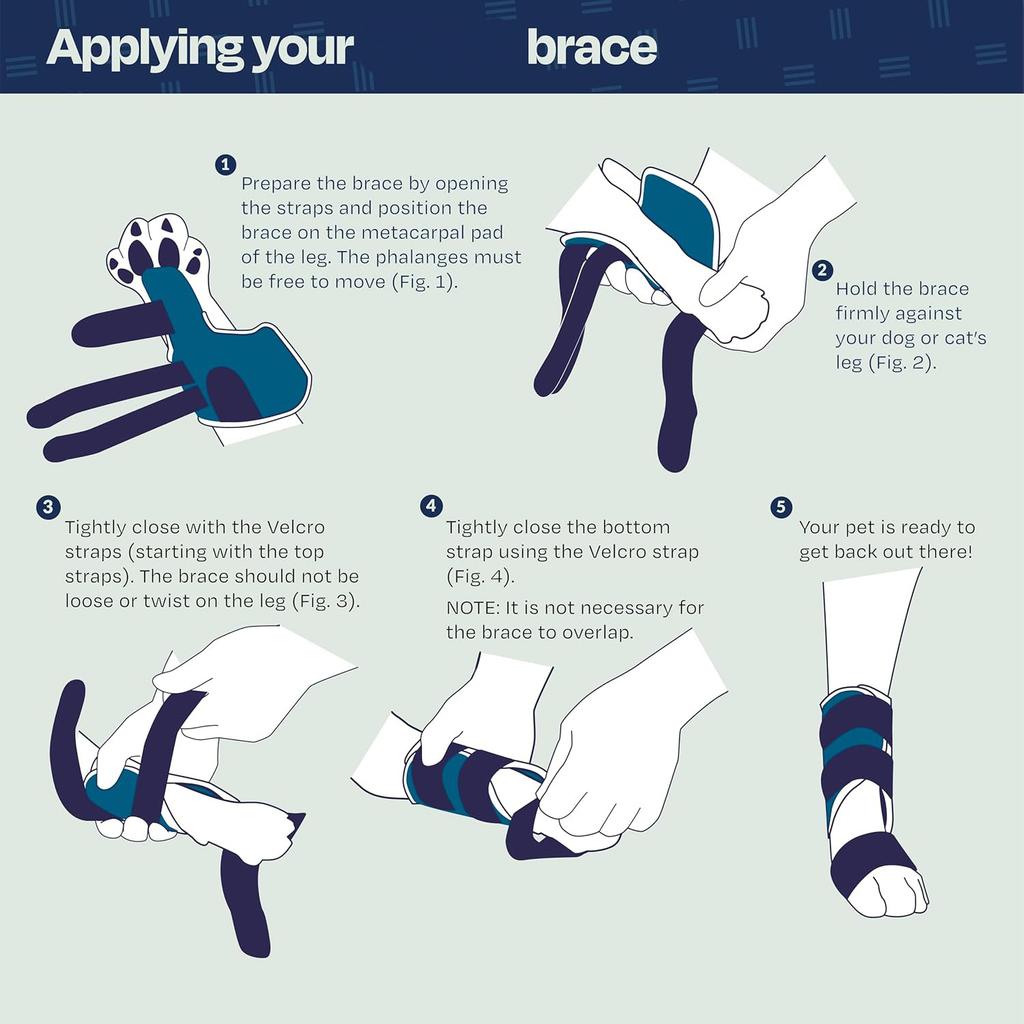 Katt Frambensstöd för Skaderehabilitering - Justerbar Husdjursstödärm för Led, Ligamentskada - Mjukt Skyddande Omslag