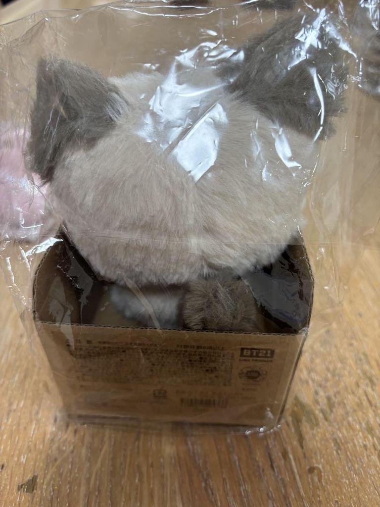 [USED] BT21 Plush Toy (CAT DAY) CHIMMY