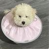 Pet Sterilization Care Collar Cat and Dog Grooming Collar Anti-licking and Biting Small Dog Headgear