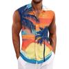 Men's Hawaiian Lapel Button-down Shirt T-shirt Top