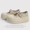 6Cm Thick-Soled Big-Headed Mary Jane Women'S Shoes Spring And Autumn Velcro Heightening Muffin Shoes Shallow Single Shoes