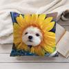 Cute Dog Cat Kawaii Gift Cushion Cover Silky Short Plush Invisible Zipper Dustproof Sofa Pillow Case For Home Decor