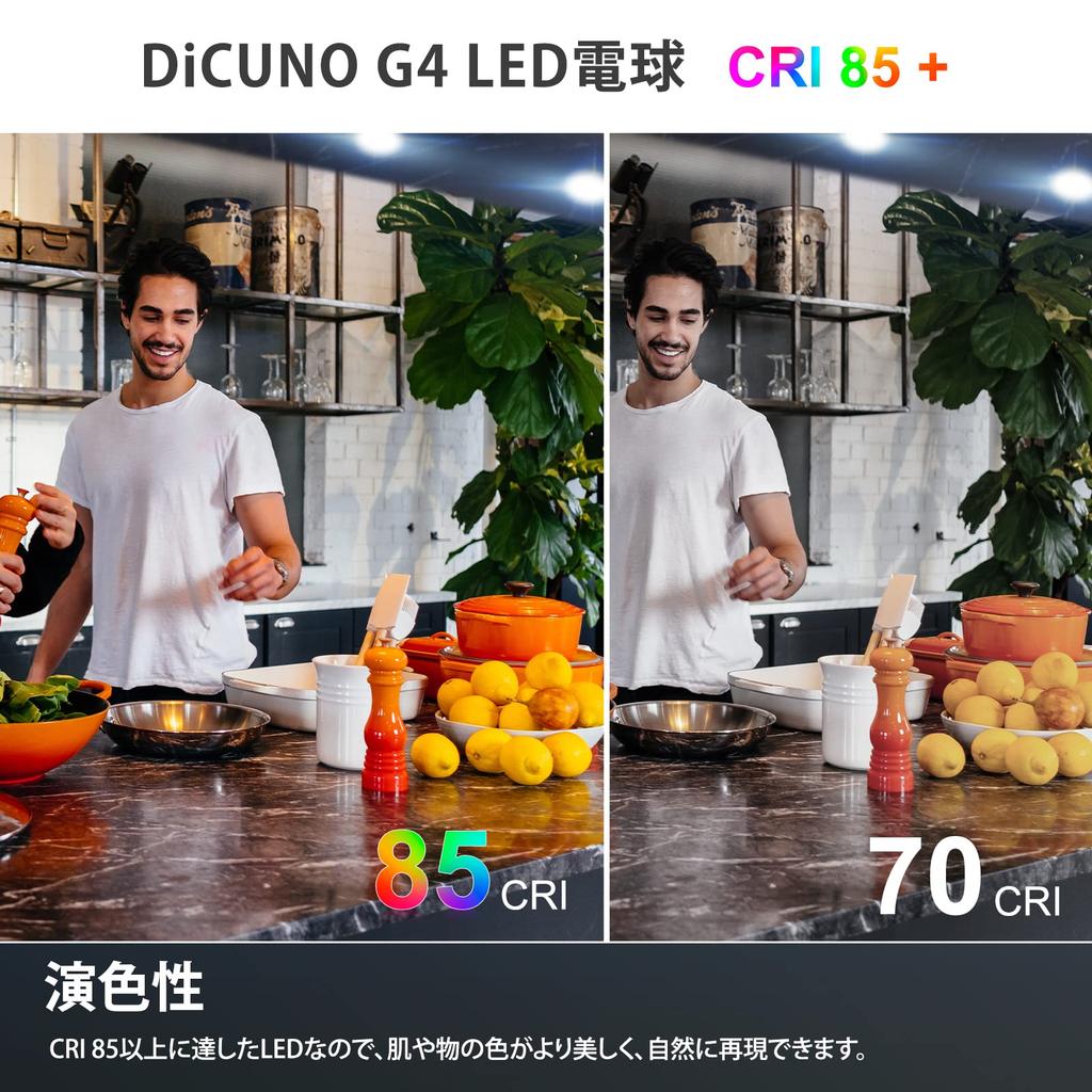 DiCUNO G4 Base LED Bulb, 1.2W (equivalent to 10W halogen bulb), 120lm, Daylight White (6000K), ACDC 12V, Pack of 10