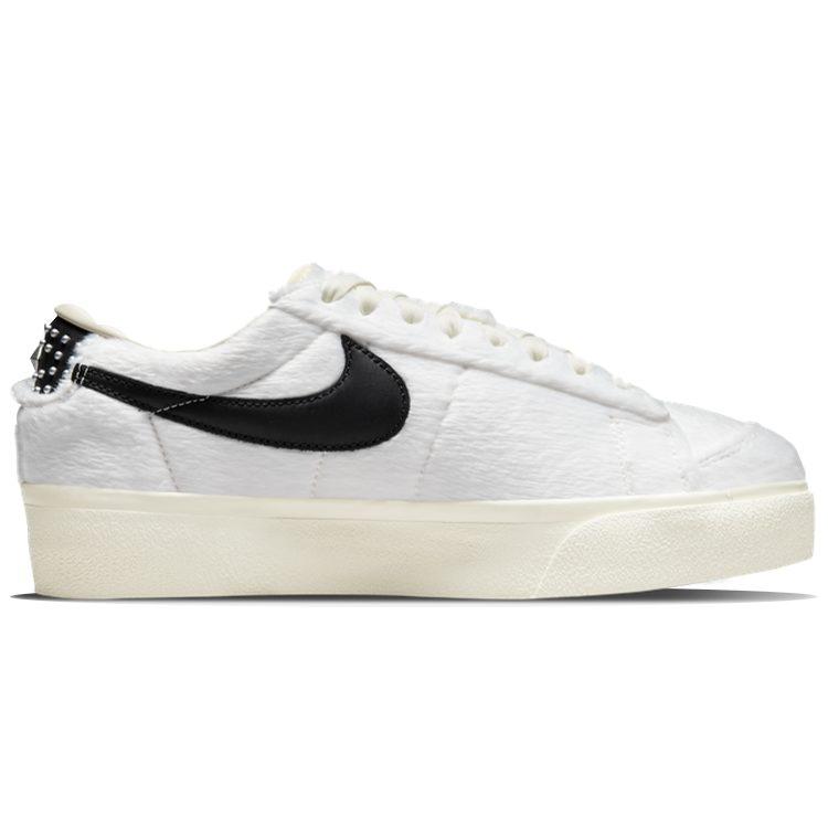 Nike Blazer Low Platform Culture Day Women's DO2115-133