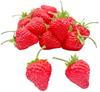 Elrinrin Strawberry Food Sample 50 with Realistic Food Fruit for Display of Models, Pieces, Stems, Strawberries, Samples, (Set 50/Red)