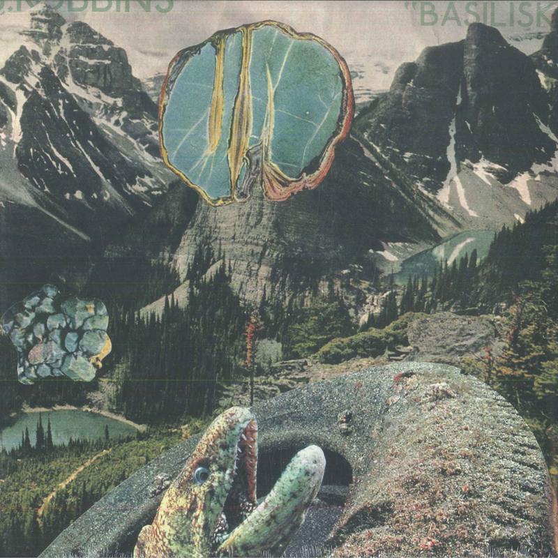 

LP Record J. ROBBINS - Basilisk DIS196V Dischord Record 2024 US Rock