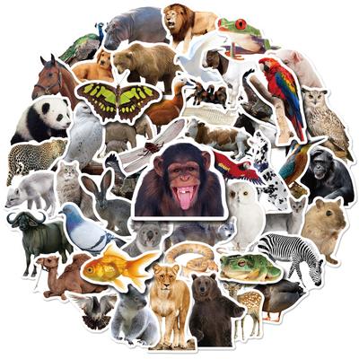 50 Zoo Children's Object Recognition Puzzle Stickers Orangutan Tiger Small Animals Realistic Stickers