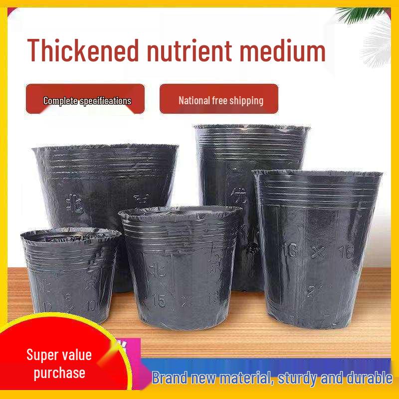Disposable Plastic Seedling Pots for Gardening and Planting