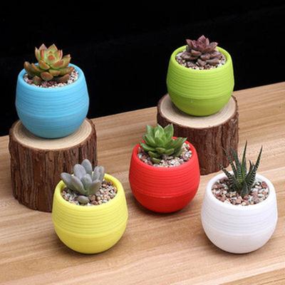 Mini Flower Pots for Succulents Small Plants DIY Interchangeable Resin Planters with Drainage Hole Water Reservoir Desktop Decor
