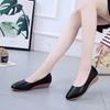 Spring and Autumn Women's Single Shoes Pointed Wedge-heeled Small Leather Shoes Shallow Mouth Working Mother Shoes Trend