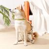 Pet Menstrual Pants Dog Diaper Belt Female Sanitary Panties Shorts Waterproof Breathable Halter Neck Design Untrained Heat Excitability Incontinence