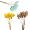 20 ks/svazek Přírodní sušené květiny Králičí ocas Umělé květiny Barevné falešné králičí ocásky Kytice Pastorační styl Foto Pr