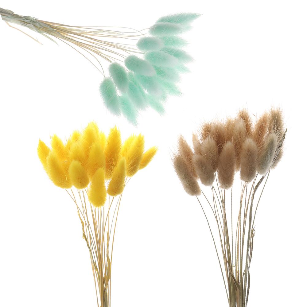 20 ks/svazek Přírodní sušené květiny Králičí ocas Umělé květiny Barevné falešné králičí ocásky Kytice Pastorační styl Foto Pr