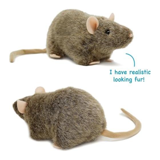 [VIAHART] Fancy Rat Reuben Plush Toy Gray S Size (Approx. 18cm) Big Kindness In a Small Body Wisdom Companion Realistic Rat Washable Stuffed Toy