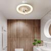 Remote Control Ceiling Fan 2 In 1 Electric Cordless Fan Hanging Fan with LED Light  Bathroom