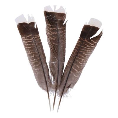 20Pcs Wild Turkey Tails Feathers 8-10inch Feathers Black Natural Quill Feathers DIY Crafts Project Collection Wedding Decor