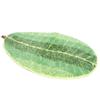Leaf shaped Floor Mat Entrance Non slip Door Mat for Living Room Bedroom Home Supplies