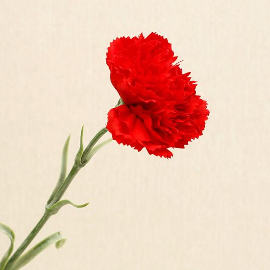 Artificial Carnation Realistic Fake Silk Flower Stem Wedding Party Indoor Outdoor Faux Flower Decoration Mother's Day Teachers' Day Gift