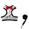 Pet Supplies: Cat & Dog Leashes and Formal Wear for Teddy, Bichon, Schnauzer.