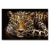 Modern Lion Family Wall Art Canvas Painting Print Posters Nature Animal Tiger Mural Pictures for Living Room Home Decoration