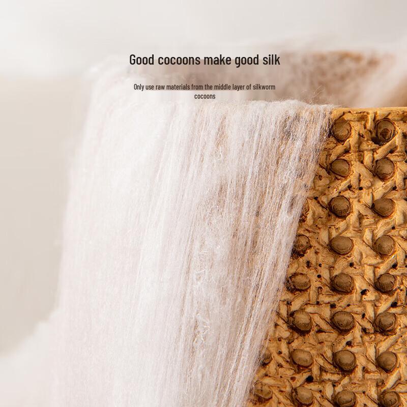 BAQIANHUSI All-Season Tussah Silk Duvet