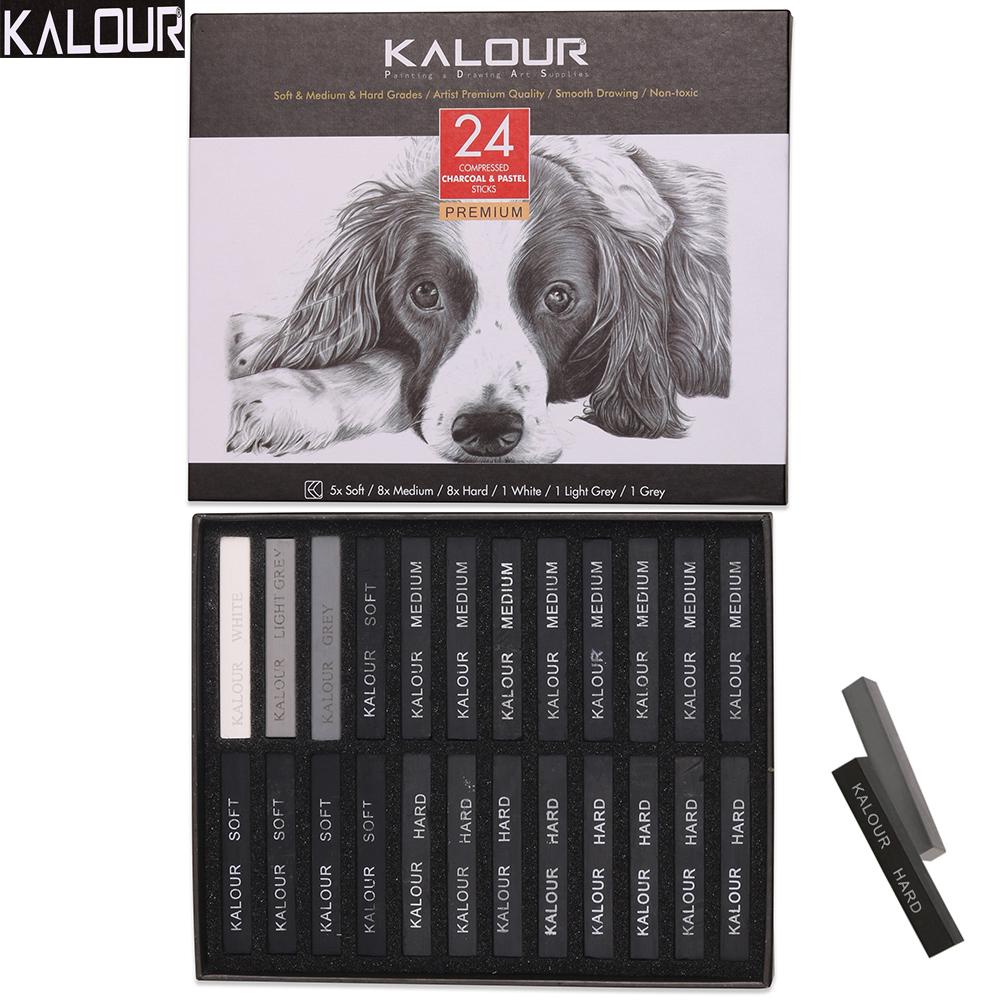 KALOUR 24pcs Charcoal Sketch Sticks,Soft&Hard&Medium Grades Black/White/Gray Professional Drawing Set Multi-purpose Art Tools