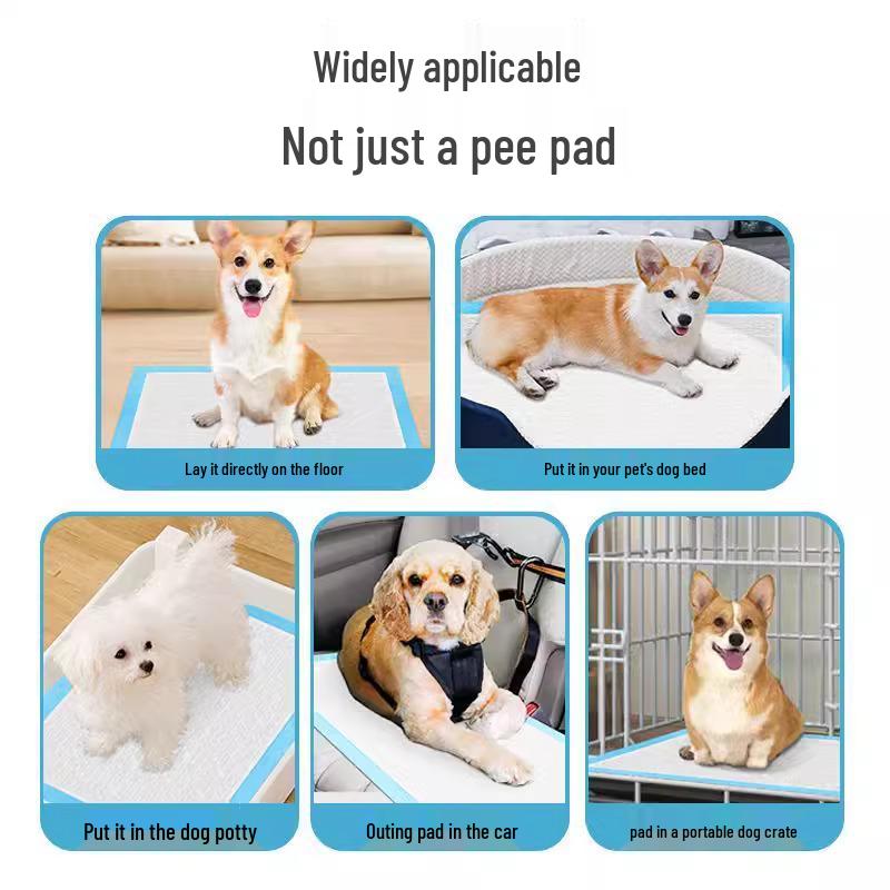 Deodorizing Thickened Pet Pee Pads for Dogs, Cats & Rabbits - Absorbent, Disposable, Leak-Proof Urine Pads