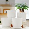 Elegant White Ceramic Flower Pot with Tray - Ideal for Ivy, Spider Plants, and Succulents
