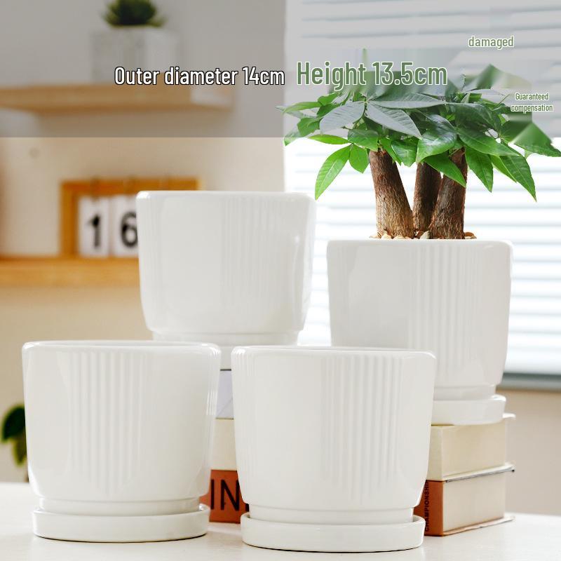 Elegant White Ceramic Flower Pot with Tray - Ideal for Ivy, Spider Plants, and Succulents
