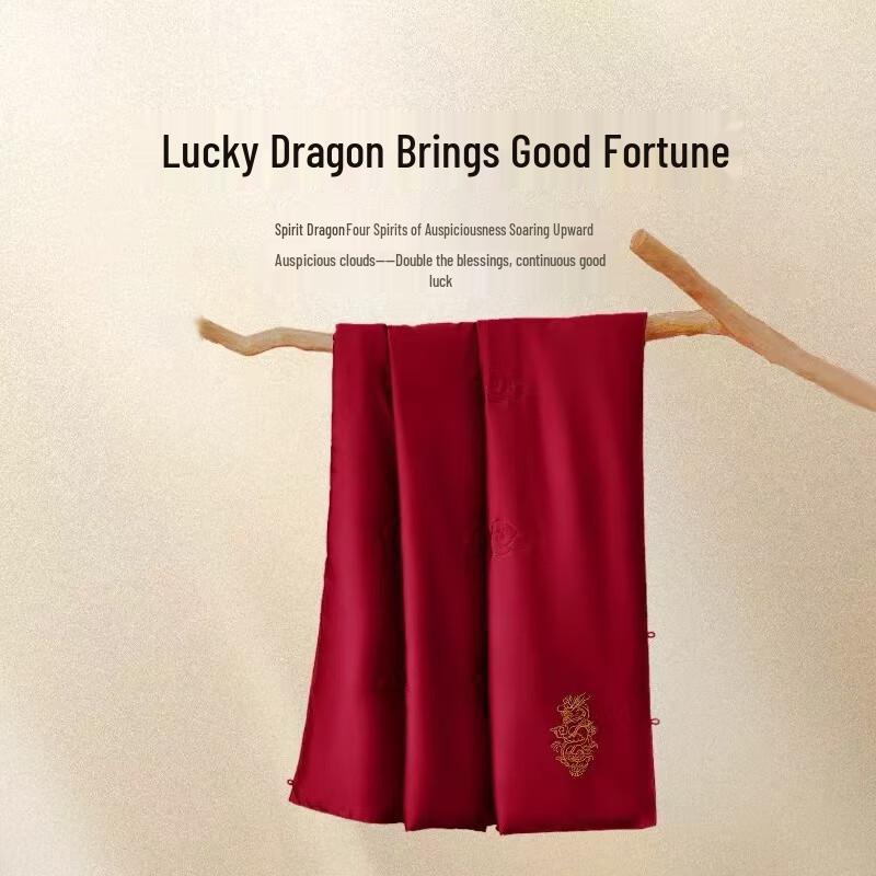 

WENSLI Mulberry Silk Nap Quilt