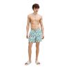 Jack And Jones Mens Seashell Swim Shorts