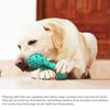 Dog Voice Toys Pet Teeth Cleaning Chew for Aggressive Dogs Rubber Molar Stick