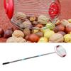 Rolling Nut Gatherer Stainless Steel 44.7 Inch 3 Section Multifunctional Acorn Picker Upper Roller for Pecans Walnuts Outdoor