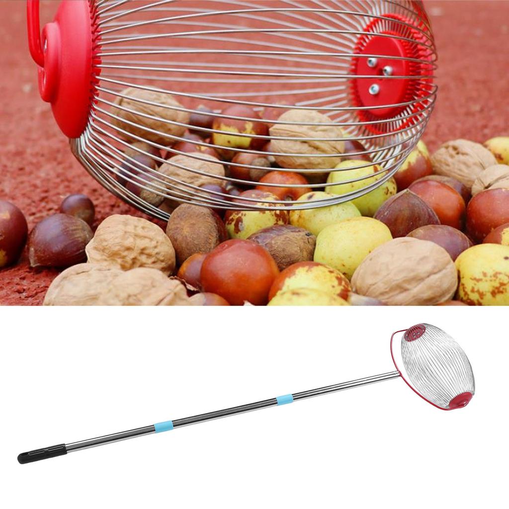 Rolling Nut Gatherer Stainless Steel 44.7 Inch 3 Section Multifunctional Acorn Picker Upper Roller for Pecans Walnuts Outdoor
