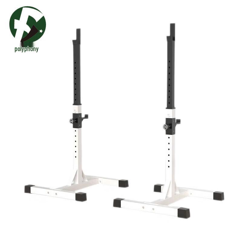 Multi-functional Barbell & Squat Rack System
