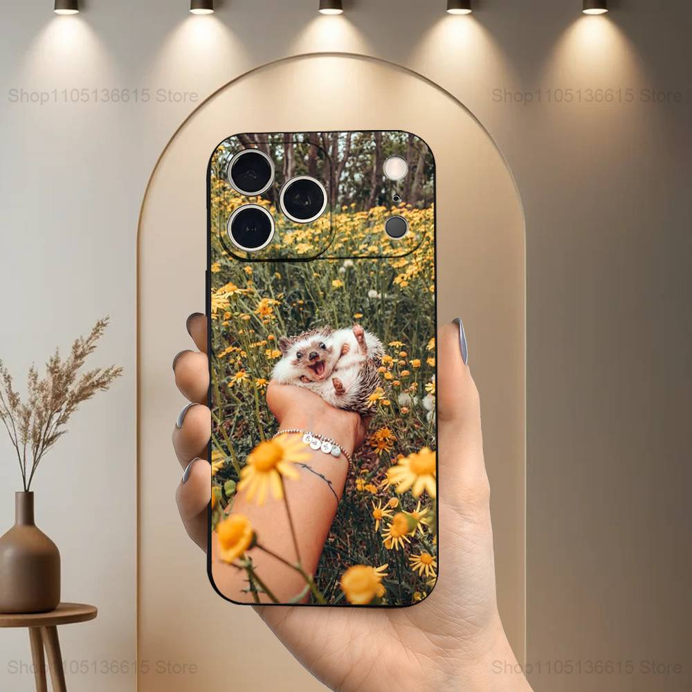 

Animal Hedgehog Cute Phone For iPhone 13,12,15,14,11,16,17,Plus,Pro Max,XS,X,XR,SE,Mini,8,7,Soft Silicone Black iPhone14PRO